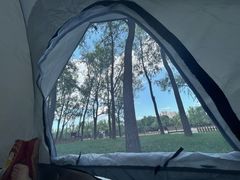 -森林公园(尖草坪区)