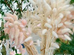 -深圳湾万象城(南山店)