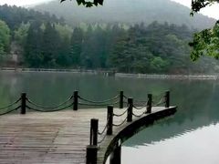 -庐山风景区花径公园