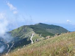 -白草畔自然风景区