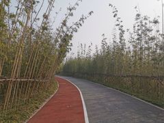 -上海长兴岛郊野公园