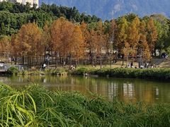 -牛岗山公园