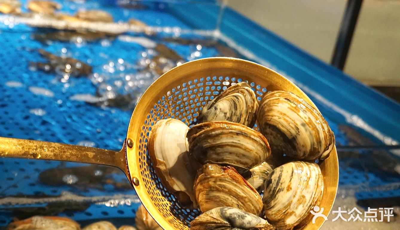 又快乐啦！在深圳～轻松实现海鲜自由～