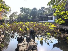 -无锡蠡湖国家湿地公园-蠡园