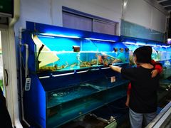 水产区-叶姐海鲜(棋子湾店)