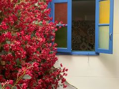 -甜阿姨·天台花园私房菜(万松园店)