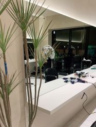 点击看大图 -Garden花園造型