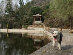 -雾灵西峰