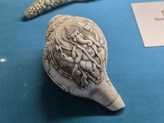 -青岛贝壳博物馆