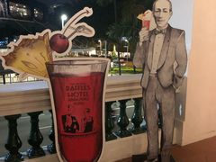 -Long Bar(莱佛士酒店)