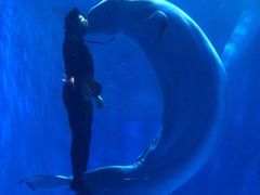 -多彩贵州城极地海洋世界