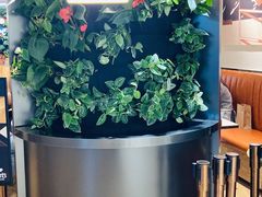 -Peet's Coffee皮爷咖啡(德基店)