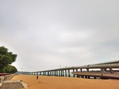 -演武大桥观景平台