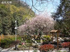 -黄山温泉国际旅游度假区