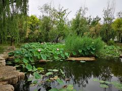 -武清南湖绿博园