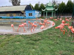 -秦皇岛野生动物园