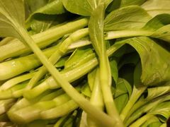 -荣记火锅(青悦城店)