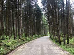 -石棉县孟获城