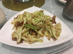 -鹅城