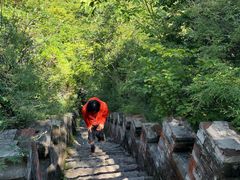 -云岫谷游猎自然风景区