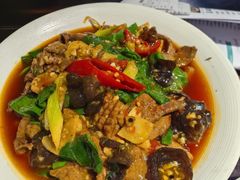 -陈麻婆豆腐总店