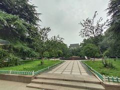 -山东师范大学(千佛山校区)
