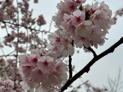 -白塘生态植物园