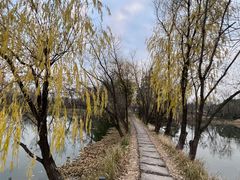 -西溪国家湿地公园