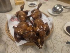 -百利鸽王(紫薇路店)