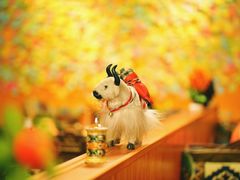 -如意林卡藏餐吧(大昭寺店)