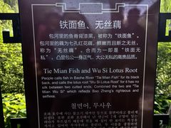-包公祠