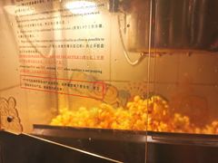 -鸿顺老铁锅美蛙鱼府(解放碑店)