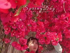 -有红鸡毛店·川菜(建设路店)