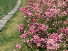 -尚贤河湿地