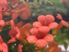 -洛阳周王城天子驾六博物馆