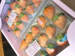 -油麻地果栏