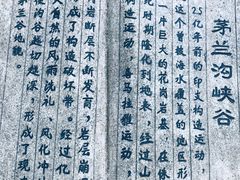 -茅兰沟国家森林公园