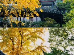 -惠山古镇·寄畅园