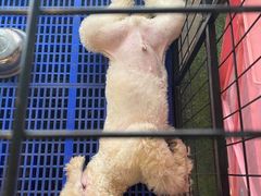 -MOJO密室逃脱(中街旗舰店)