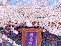 -北海公园