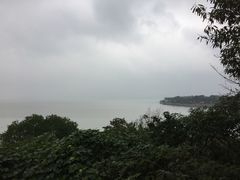 -上海市保健医疗中心(华东疗养院)
