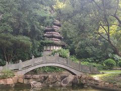 -深圳国际园林花卉博览园