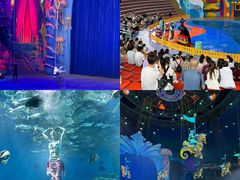 -海合安武汉极地海洋公园