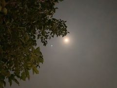 -英德宝晶宫天鹅湖茶语温泉