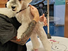 -FAELING PETS美天灵宠物(富力广场店)