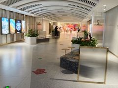 -大世界影城(无锡江南大悦城IMAX激光店)