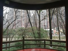 -温江公园