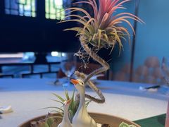 -绿波廊(豫园店)