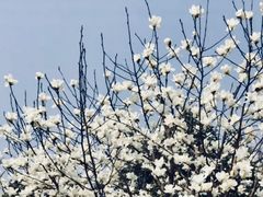 -白塘生态植物园