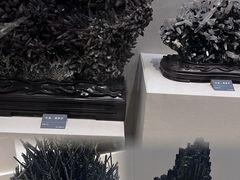 -安徽省地质博物馆